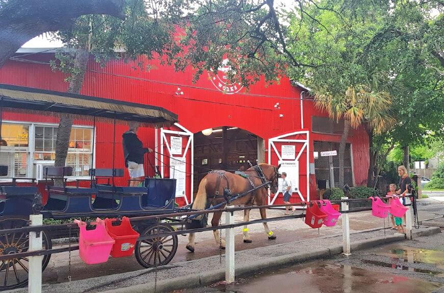 Carriage tour in Charleston