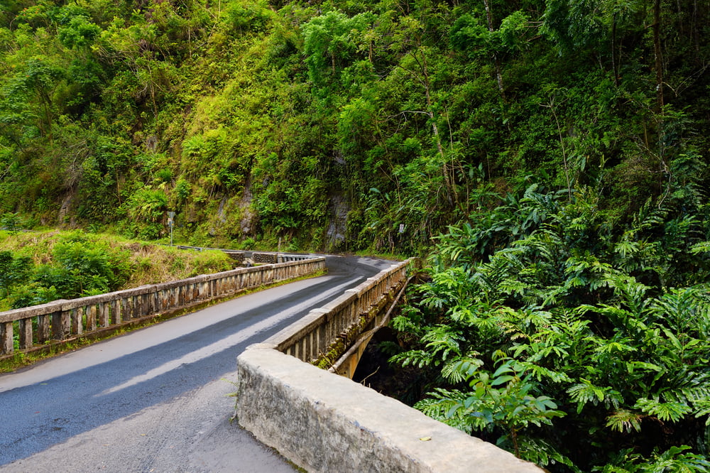 road to hana in hawaii