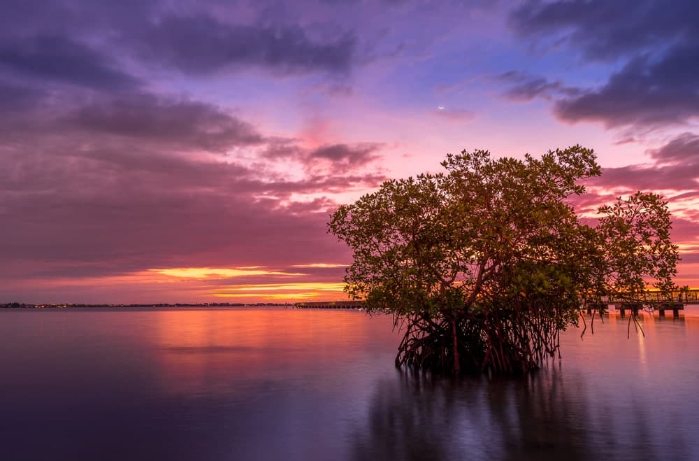 Jensen Beach via Cavan Images Shutterstock