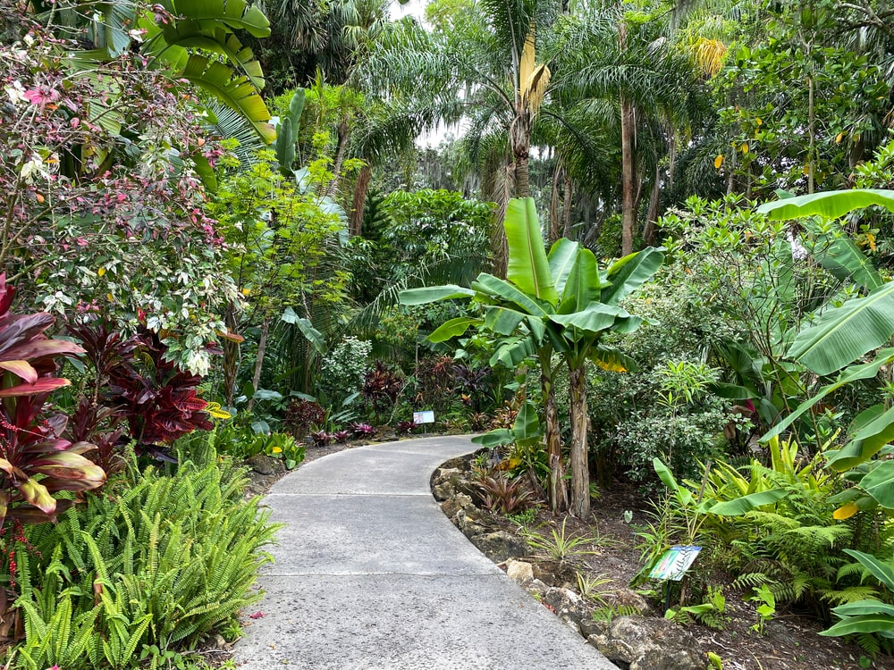 A metal bench surrounded by flowers and plants at botanical garden in Florida.