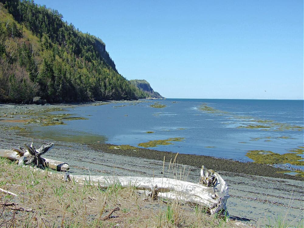 beach in parc national du bic