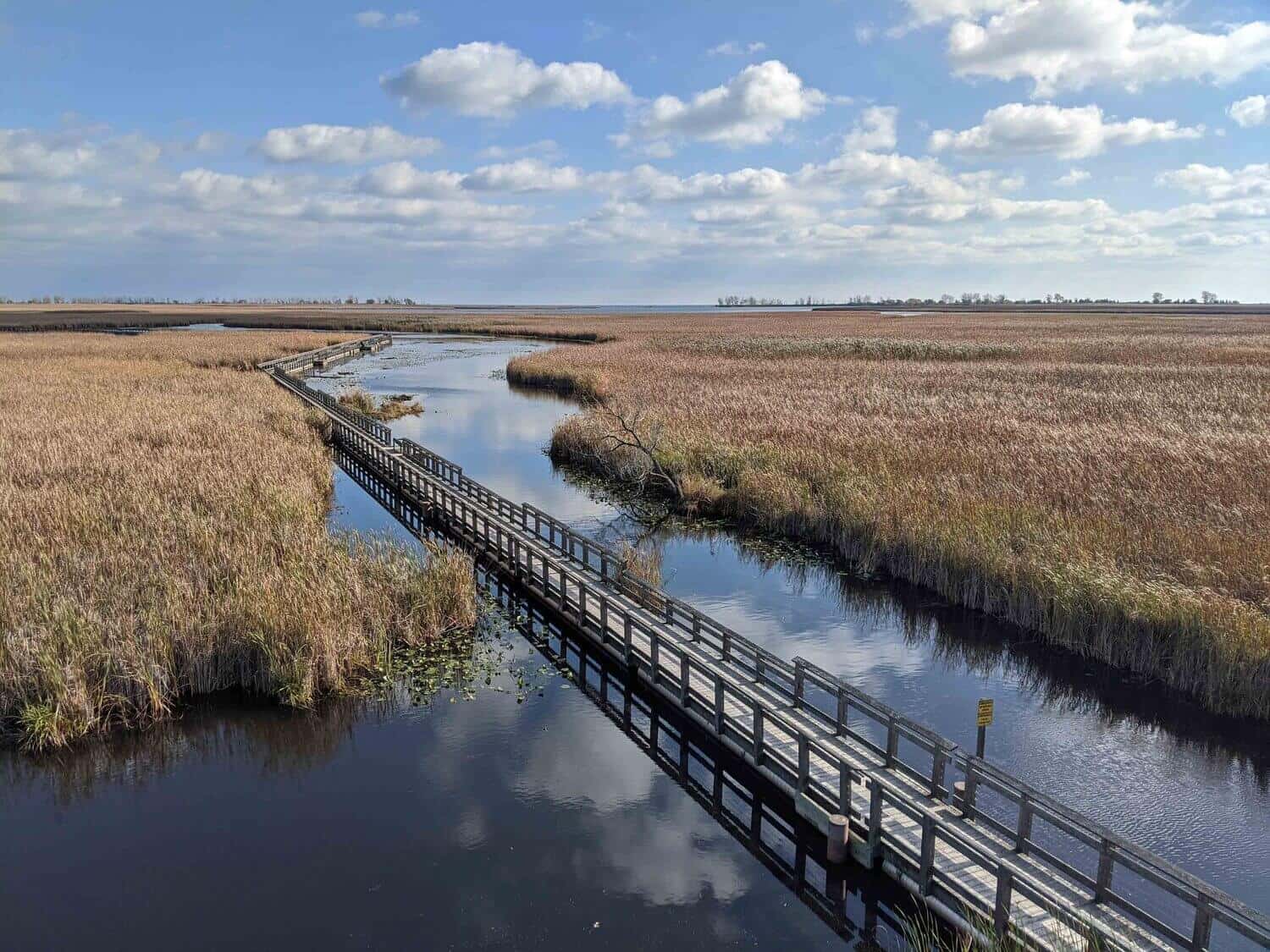 boardwalk and marsh in national parks in canada