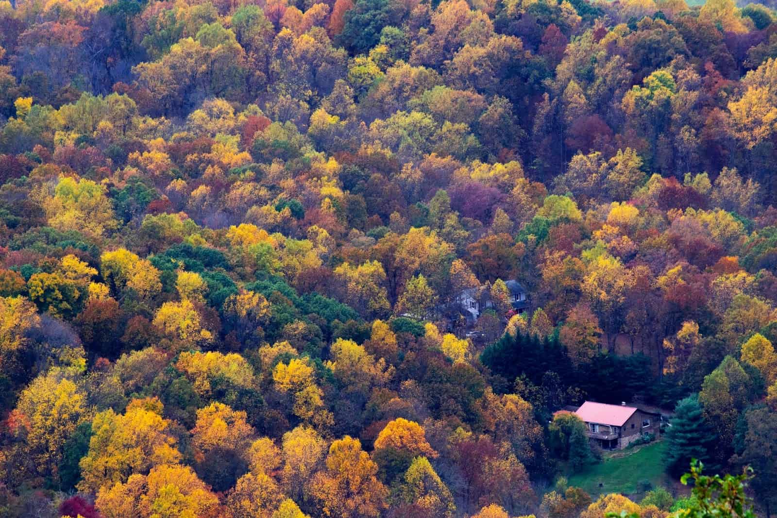 Shenandoah National Park