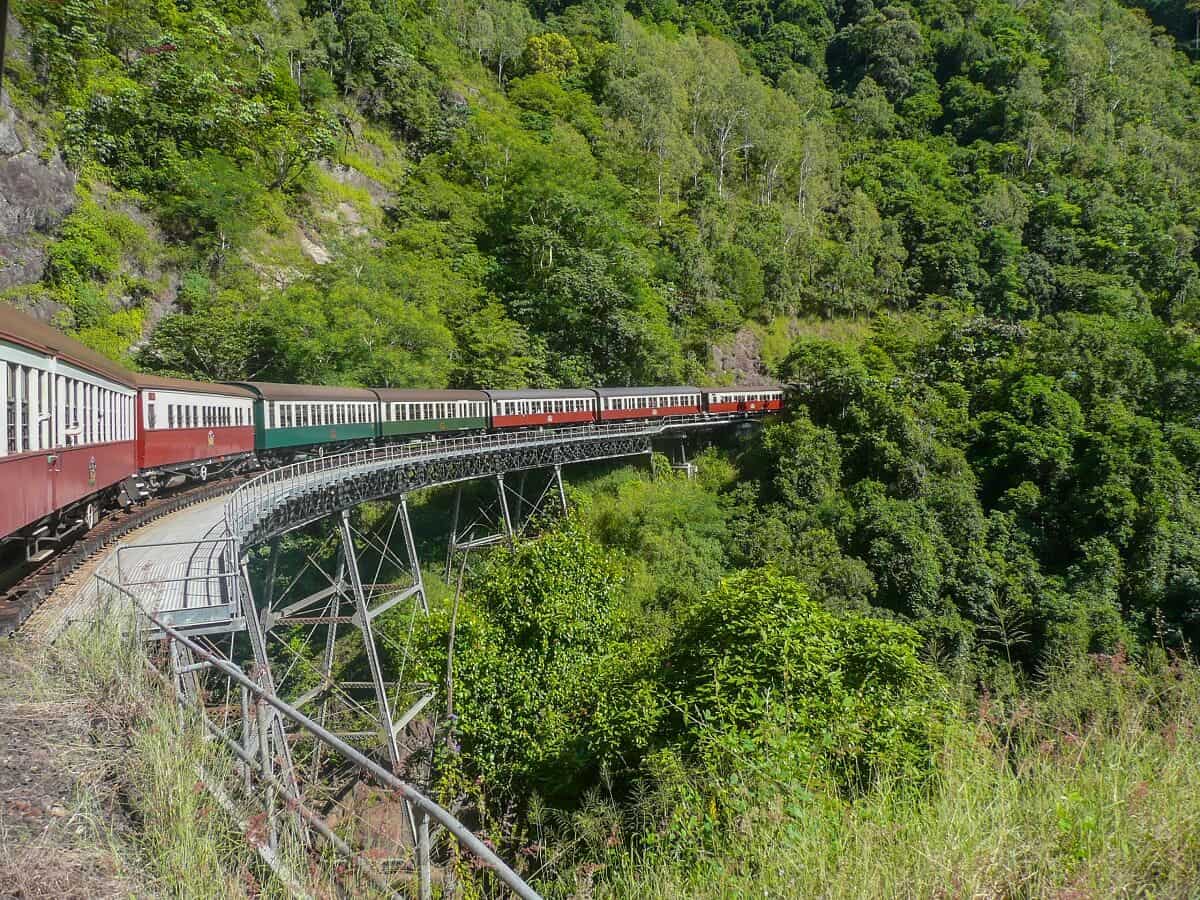 railway through trees