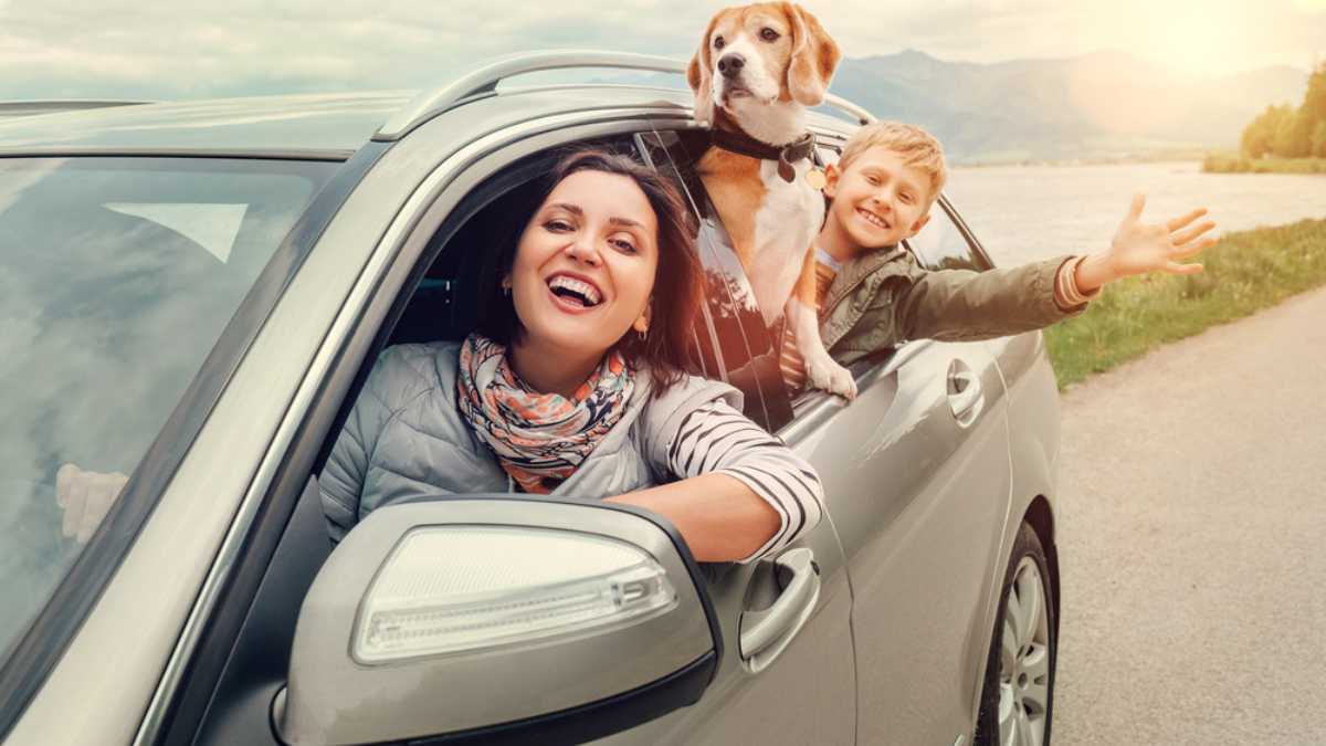 Happy family look out from car windows