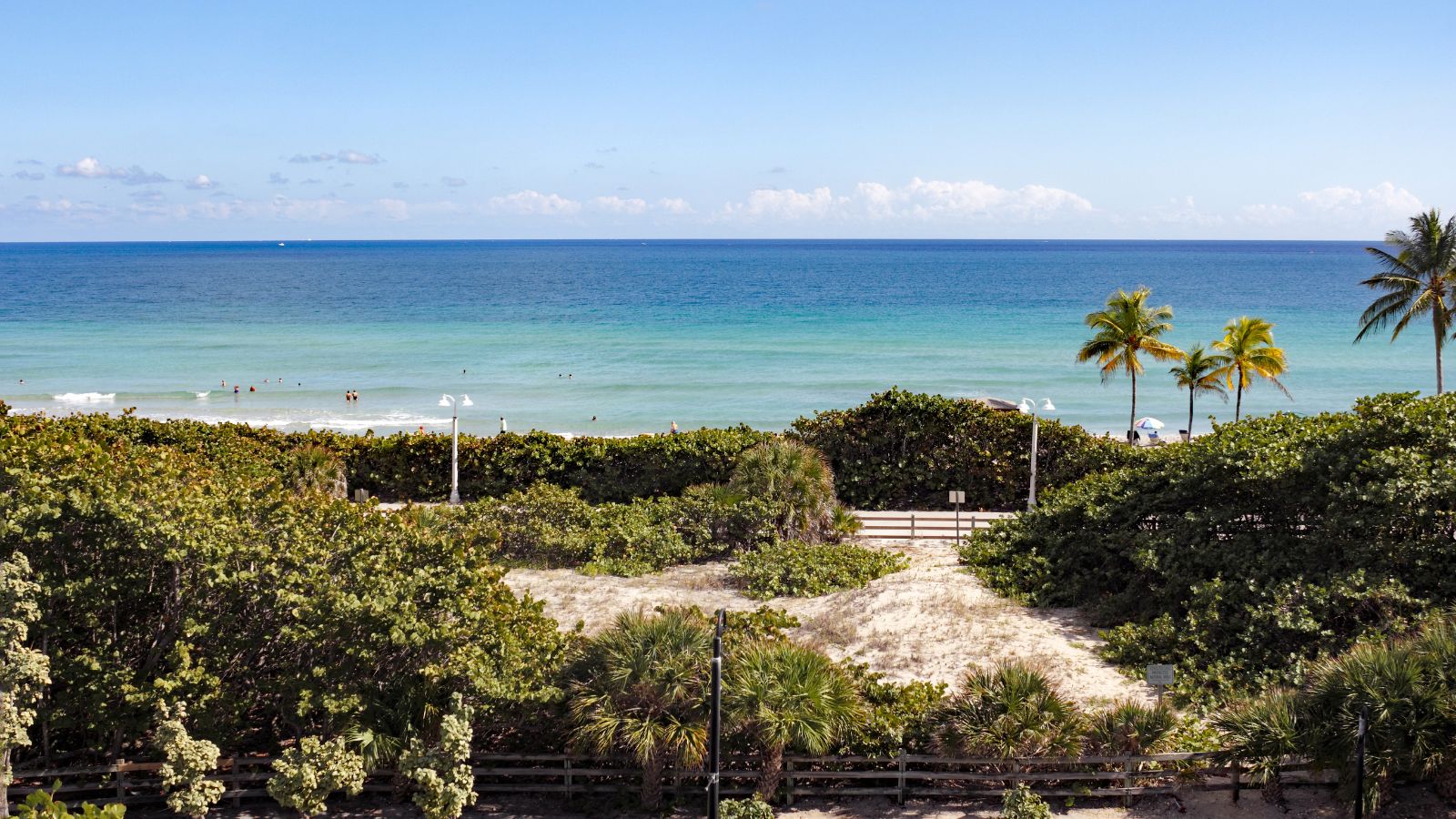 Hollywood, FL, USA - December 7, 2014: Sunny view from a watch tower over looking Hollywood North Beach Park. High up view of a protected natural area and Hollywood beach.