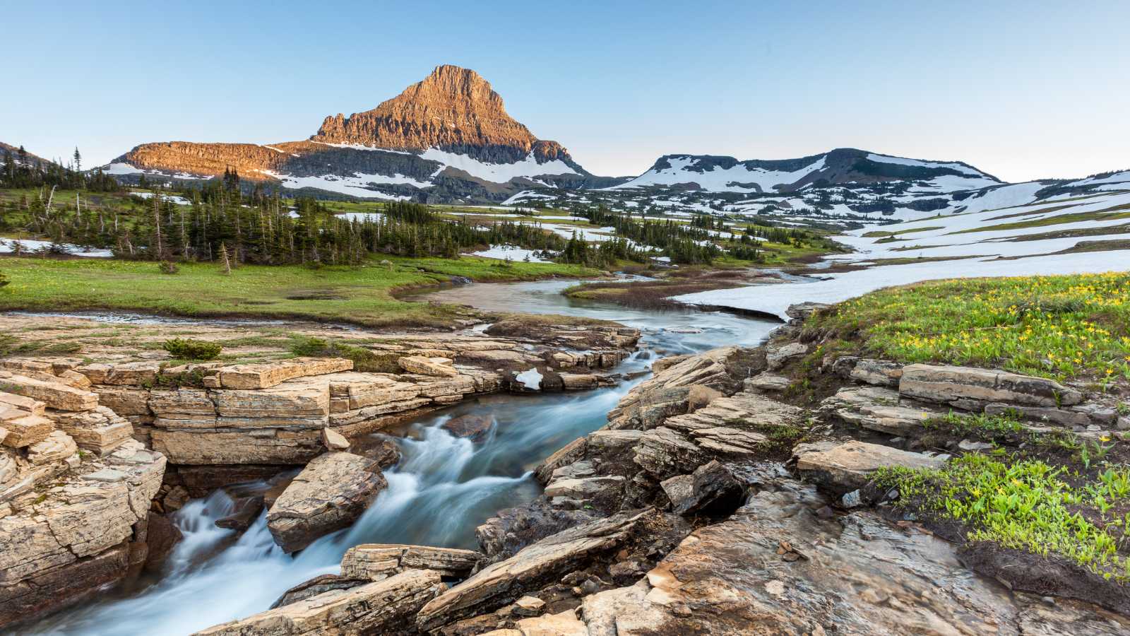 Beautiful nature at Logan Pass, Glacier National Park, MT in Summer