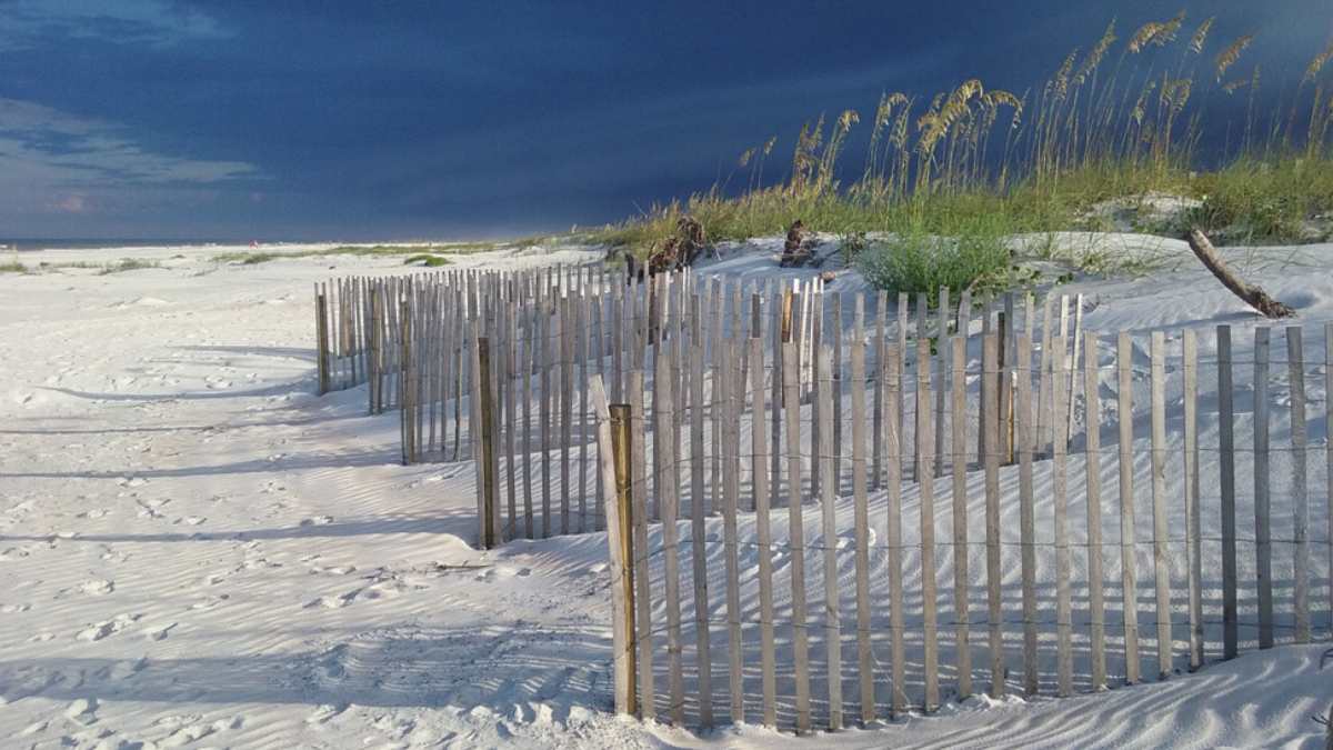 Saint Augustine Beach - summer 2017, Anastasia State park, St Augustine, Florida