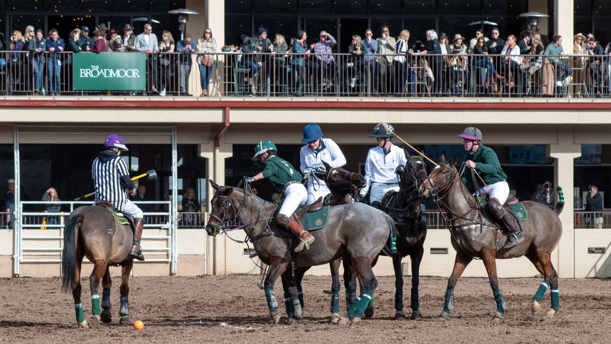 polo match in colorado springs