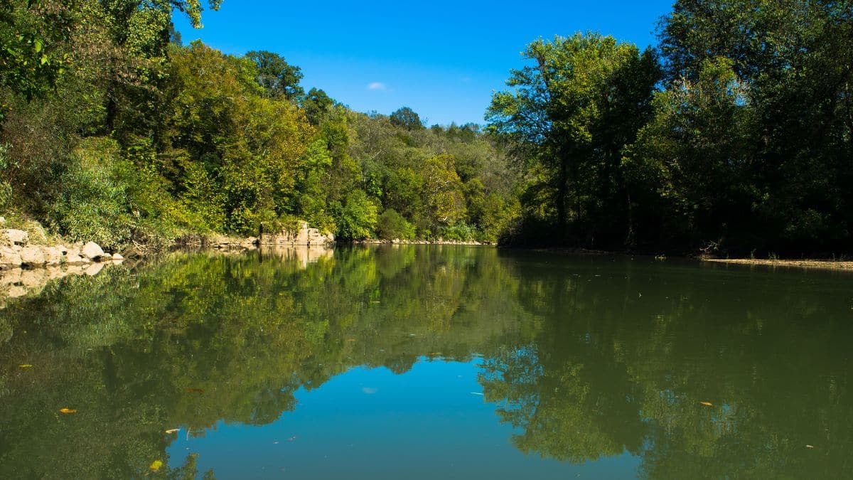 A blue sky reflects in the water of the Harpeth River.