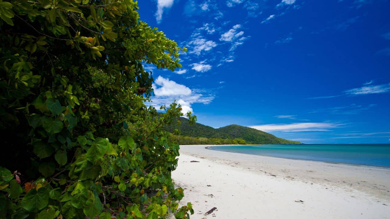 Cape Tribulation, Tropical North Queensland, Australia