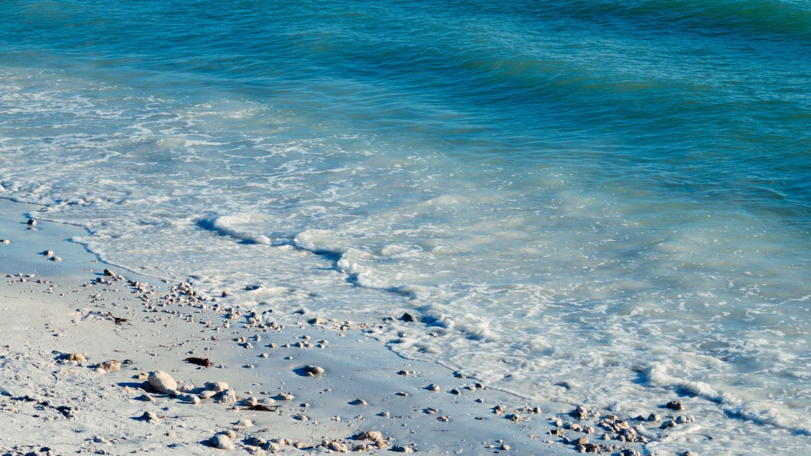 Honeymoon Island State Park