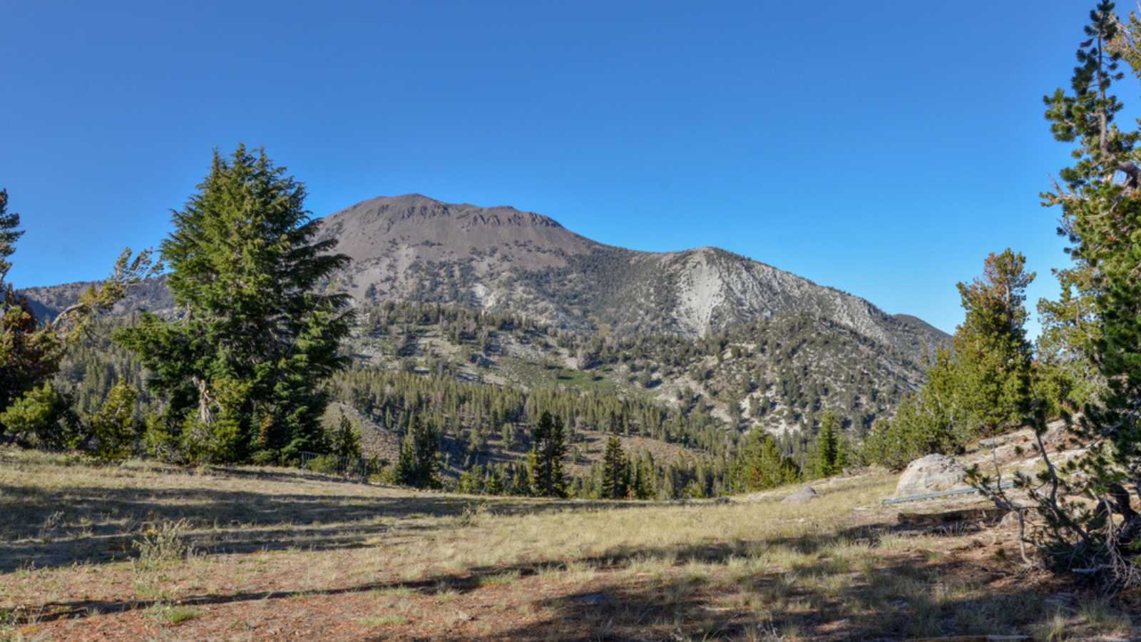 Mount Rose view from Tahoe rim trail Reno, Nevada