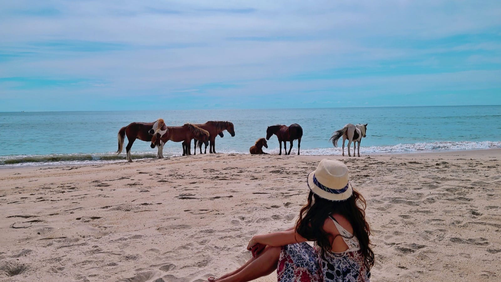 Assateague Island National Seashore, Maryland